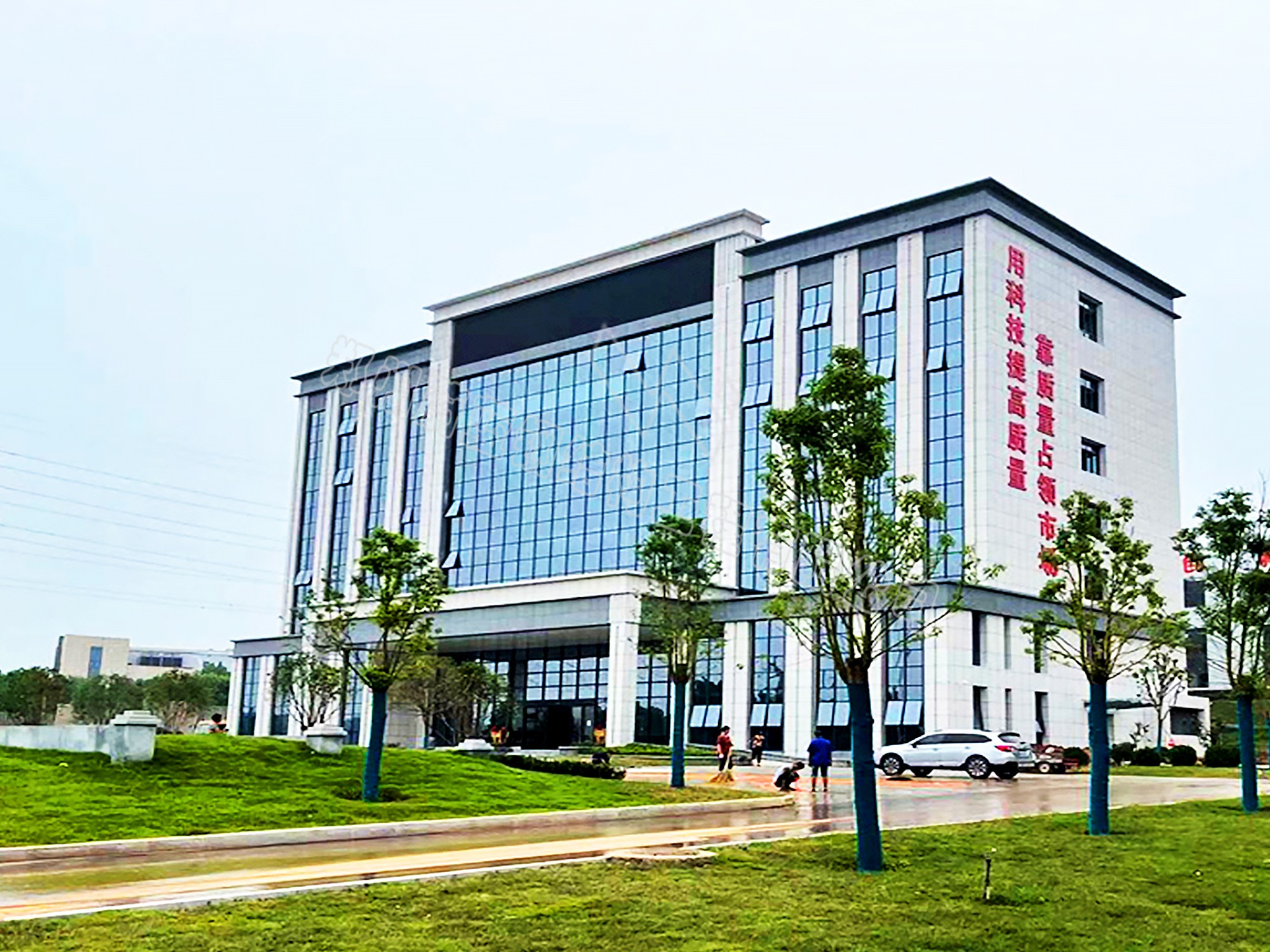 洛陽新強聯辦公樓
